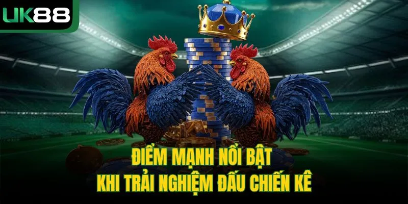 Điểm mạnh nổi bật khi trải nghiệm đấu chiến kê  